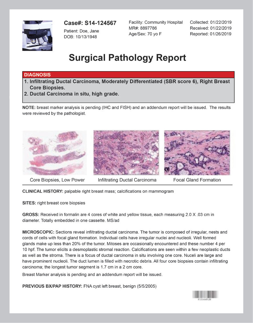 various pathology lab reports assignment pdf